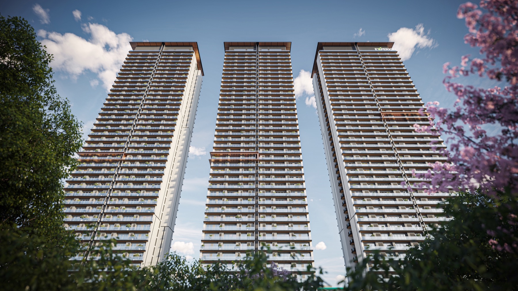 Exterior architectural visual